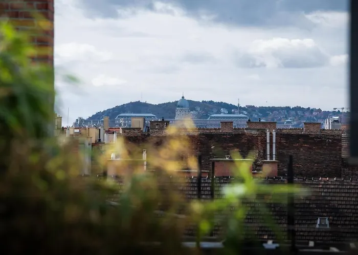 205M2 Penthouse With 75M2 Castle View Terrace And Barbercue - My Loft In Budapest
